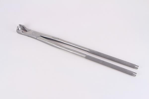 Forceps Pony H